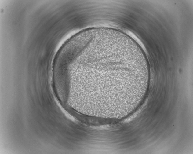 X0000085261093200704092108