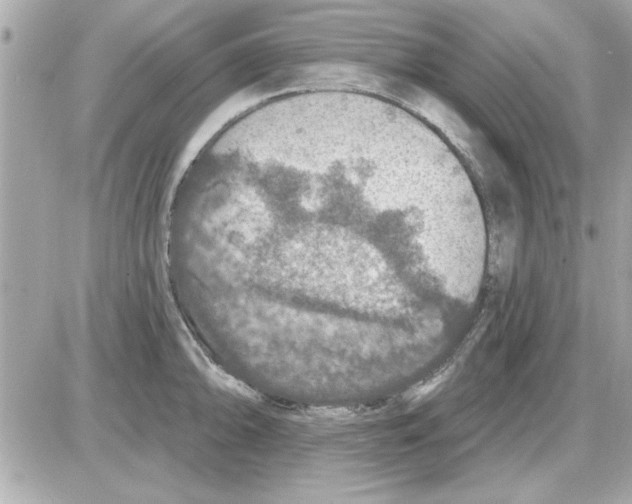 X0000085261094200704092108