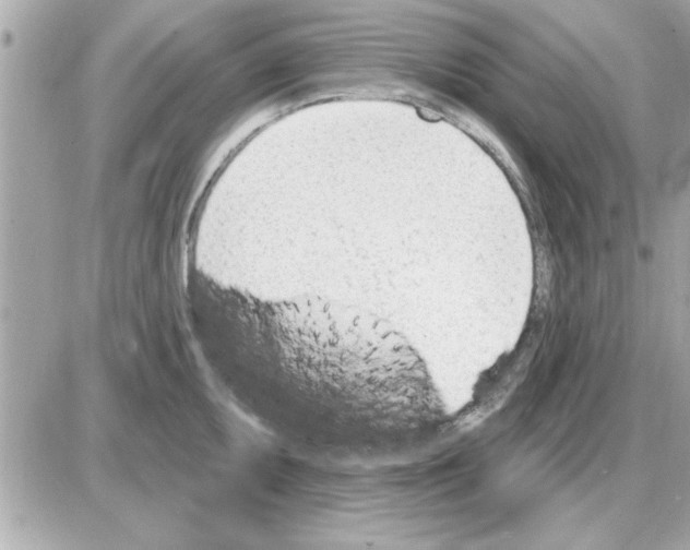 X0000085261095200704092108