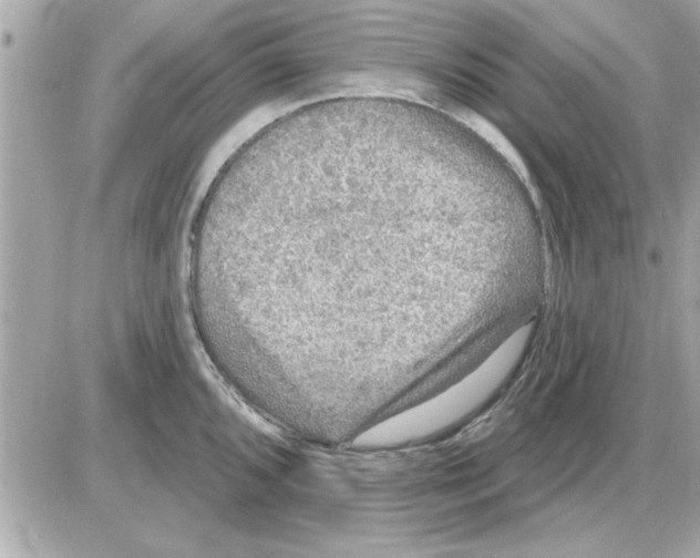 X0000085261096200704092108