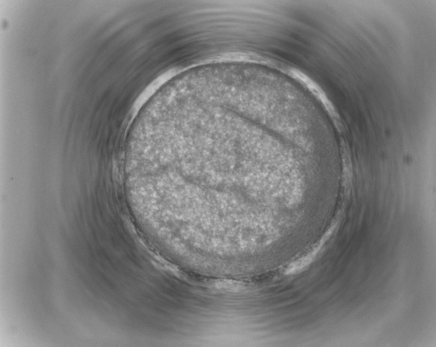 X0000085261097200704092108