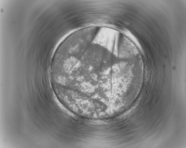 X0000085261100200704092108