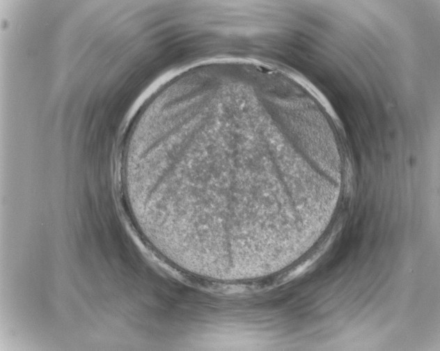 X0000085261101200704092108