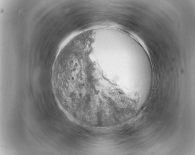 X0000085261103200704092108