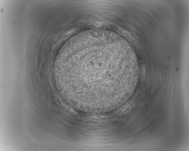 X0000085261105200704092107