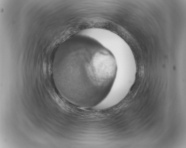 X0000085261108200704092107