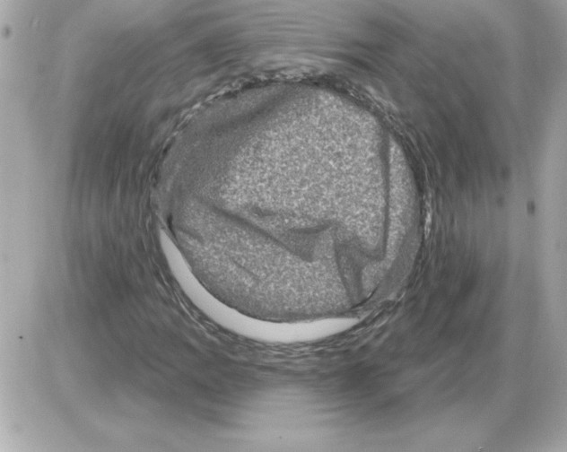 X0000085261109200704092107