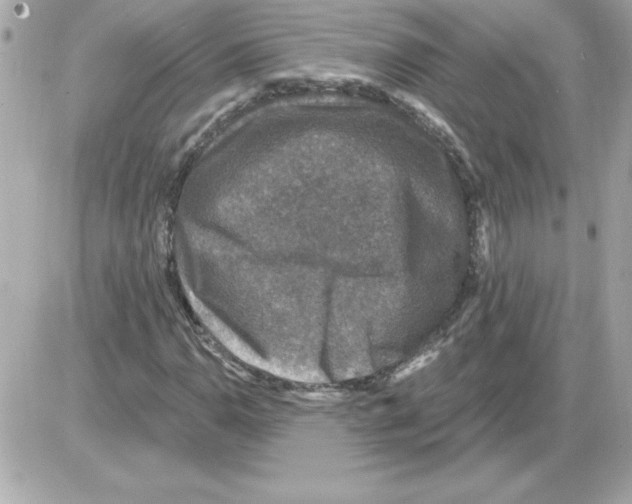 X0000085261110200704092107