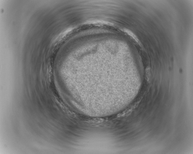 X0000085261111200704092107