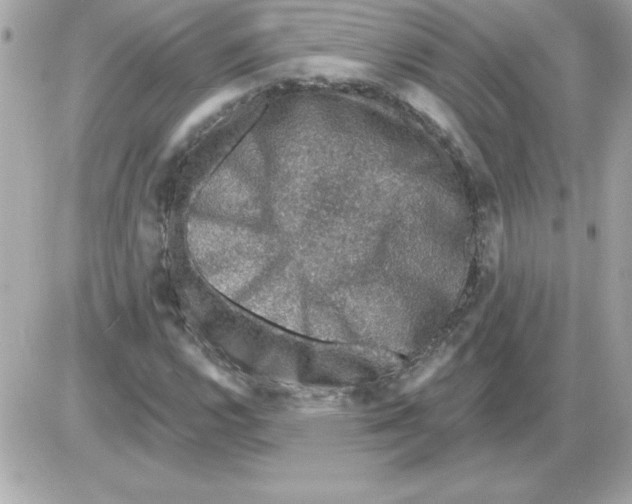 X0000085261112200704092107