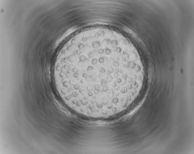 X0000085261113200704092107