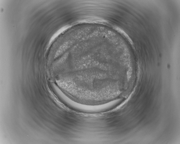 X0000085261114200704092107