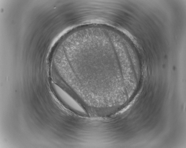 X0000085261118200704092107