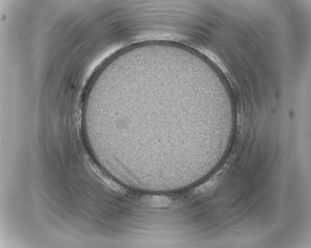 X0000085261119200704092107