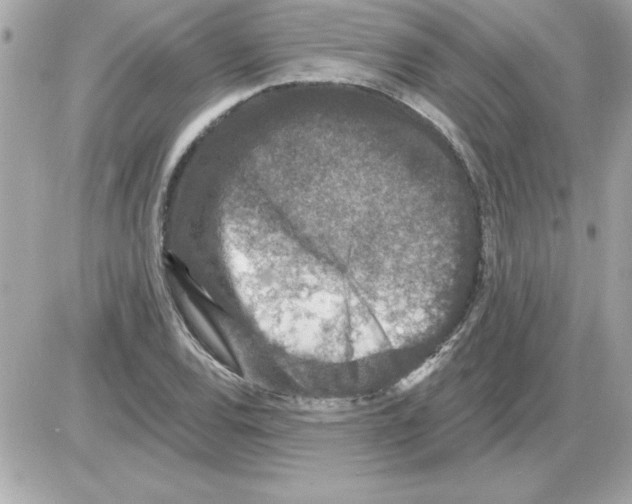 X0000085261120200704092107