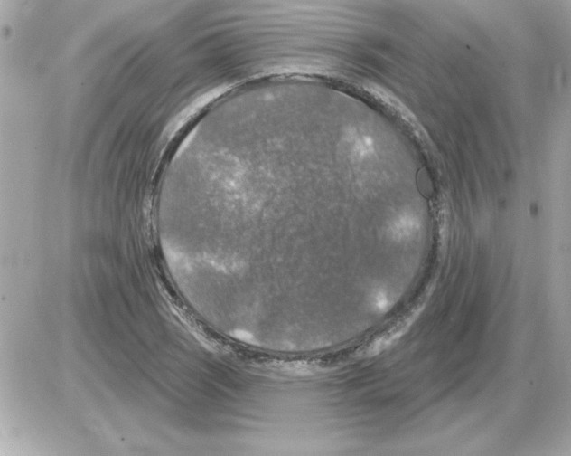 X0000085261121200704092107