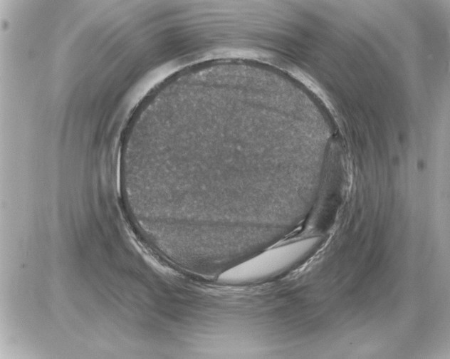 X0000085261127200704092107