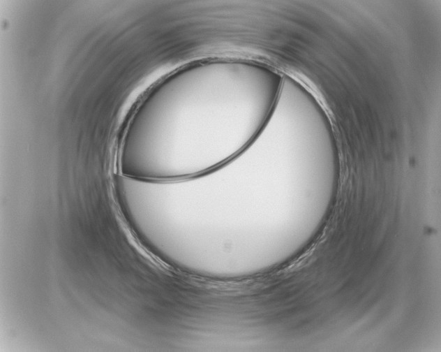 X0000085261128200704092107