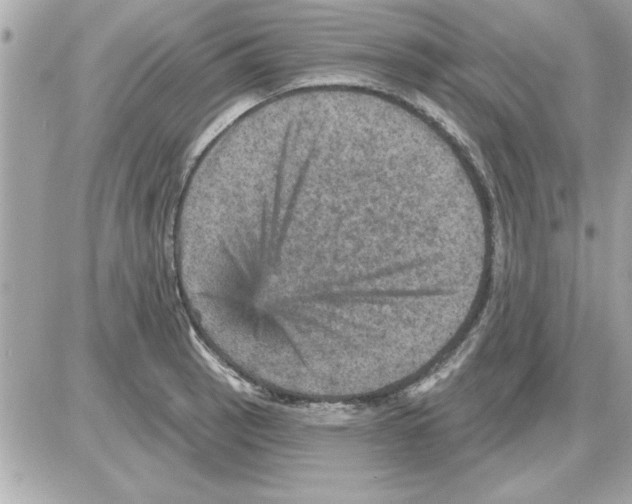 X0000085261137200704092108