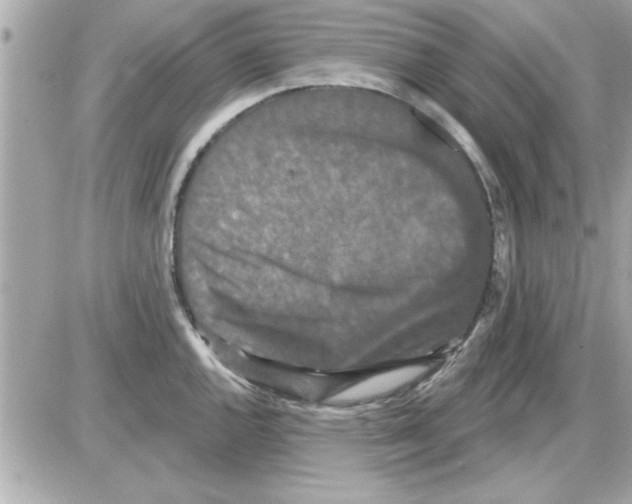 X0000085261144200704092108