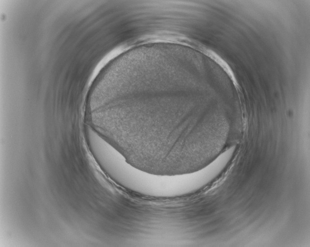 X0000085261146200704092108