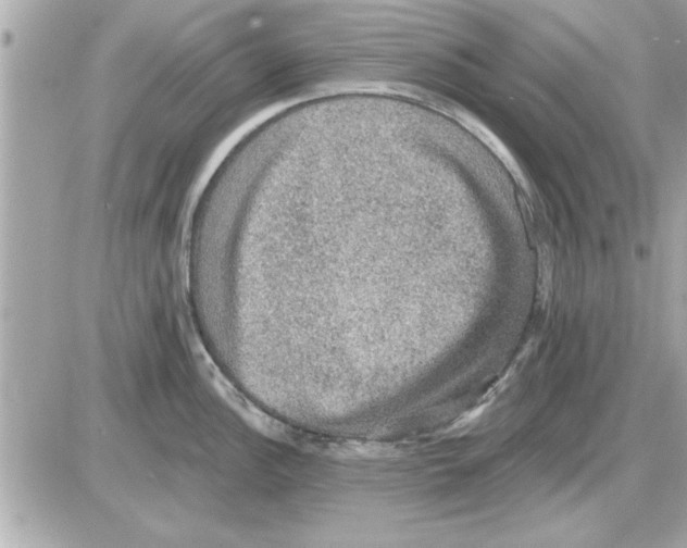 X0000085261148200704092108