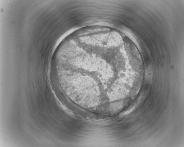 X0000085261149200704092108