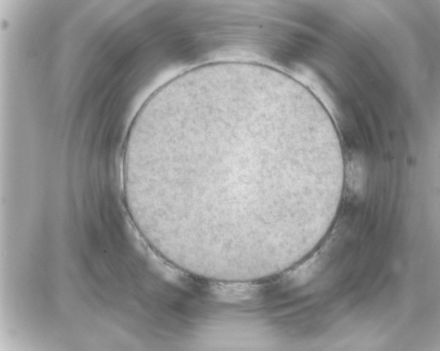 X0000085261150200704092108