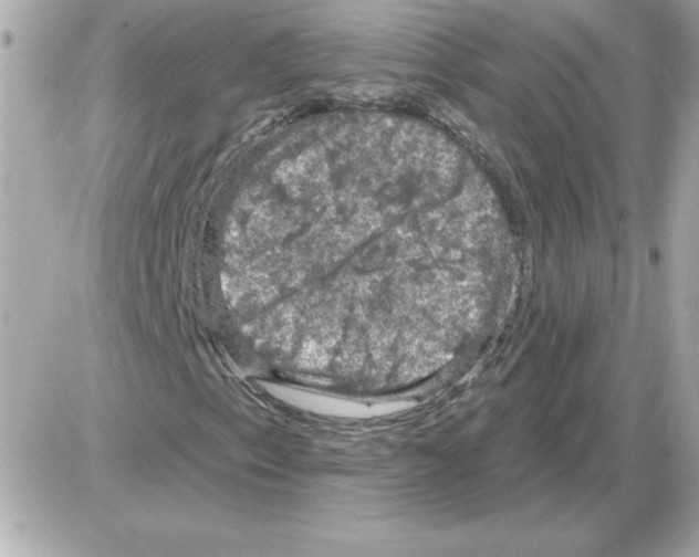 X0000085261153200704092107