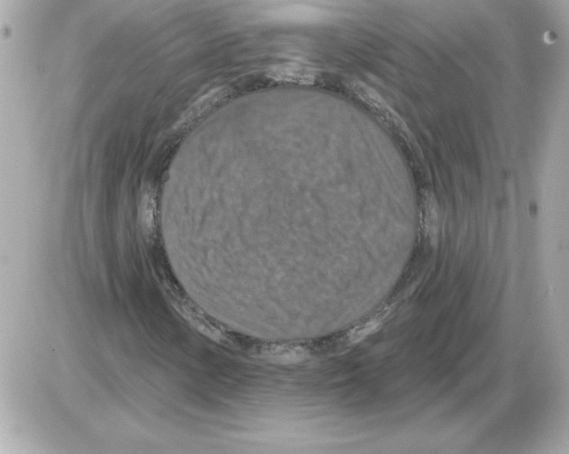 X0000085261154200704092107