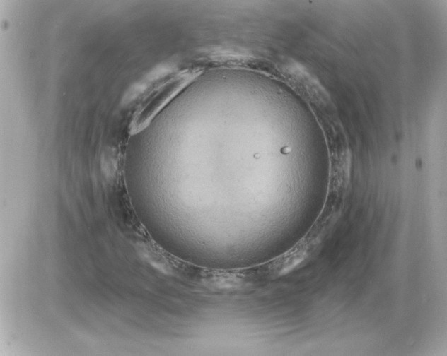 X0000085261157200704092107