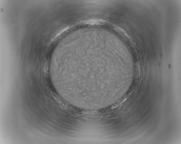 X0000085261158200704092107