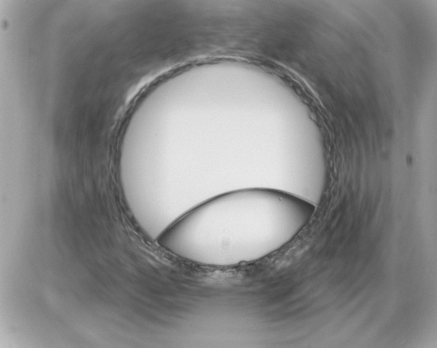 X0000085261160200704092107