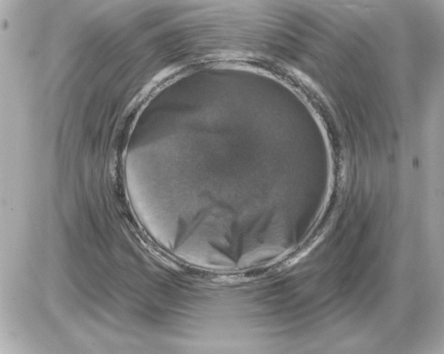 X0000085261161200704092107