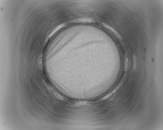 X0000085261162200704092107