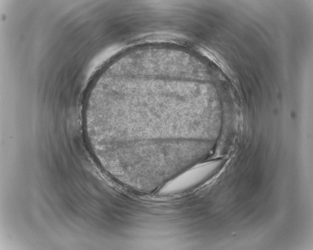 X0000085261164200704092107