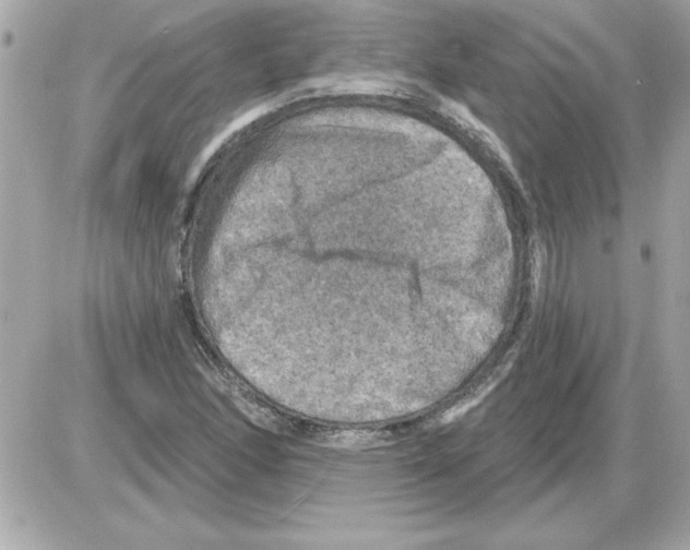 X0000085261166200704092107