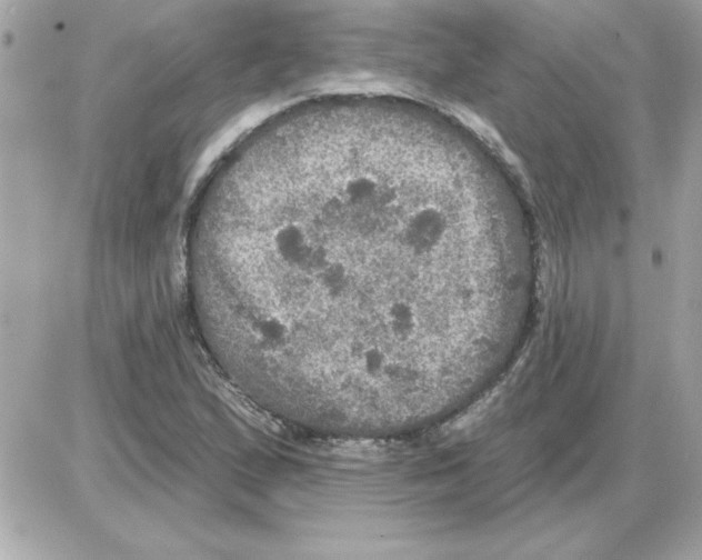 X0000085261167200704092107