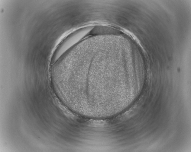 X0000085261168200704092107