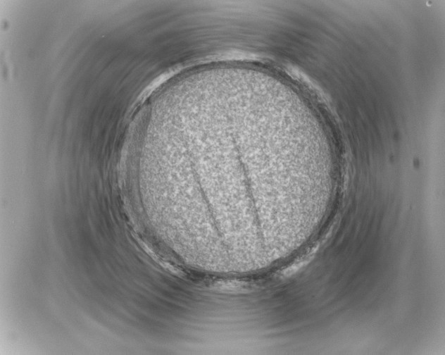 X0000085261169200704092107