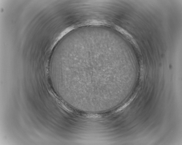 X0000085261170200704092107