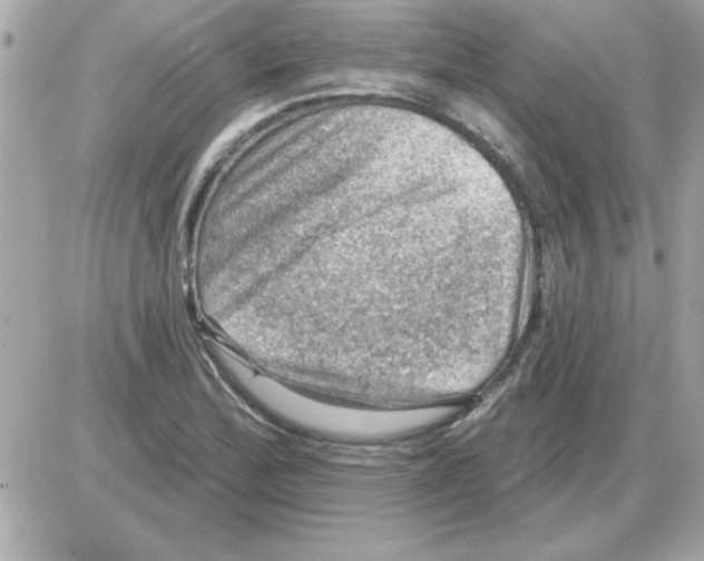 X0000085261172200704092107