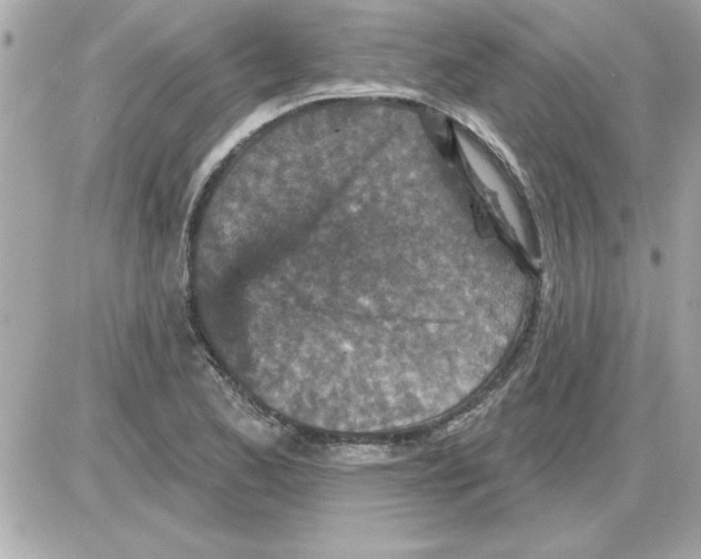 X0000085261173200704092107