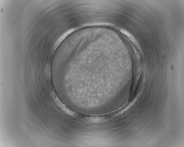 X0000085261177200704092107