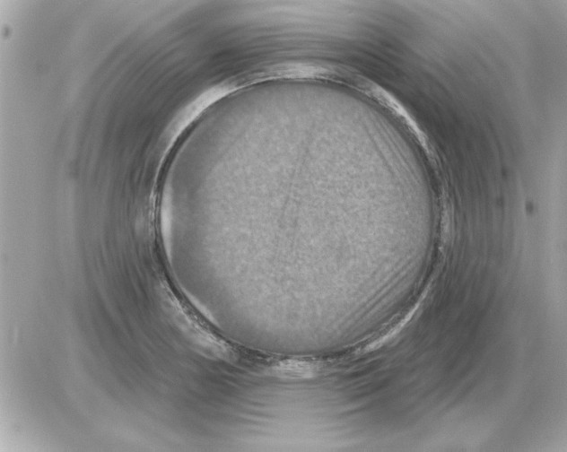 X0000085261178200704092107