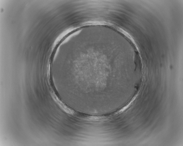 X0000085261179200704092107