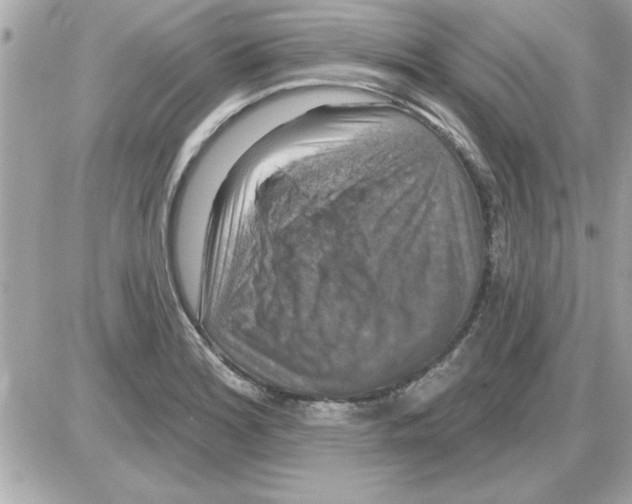 X0000085261180200704092107