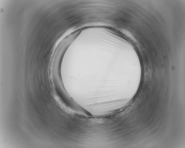 X0000085261181200704092107