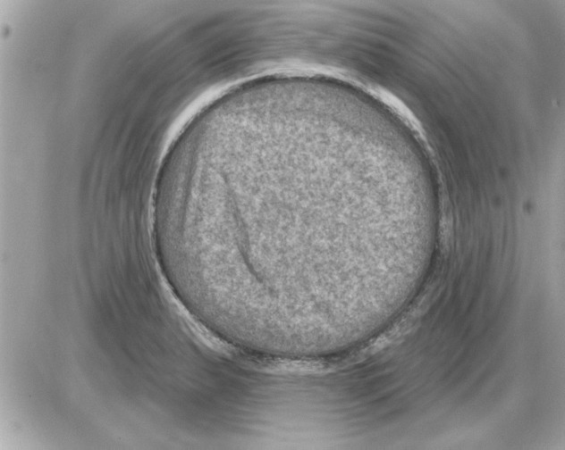 X0000085261183200704092106