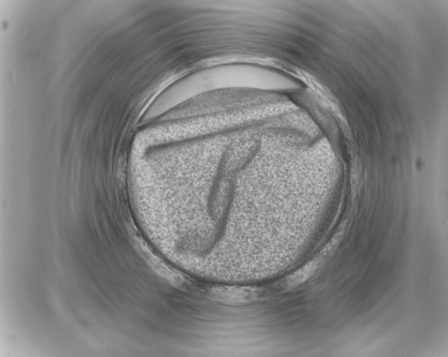 X0000085261185200704092106